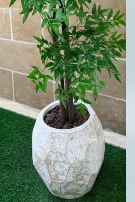 قوّارة الحجر السداسي الفاخر 🪴