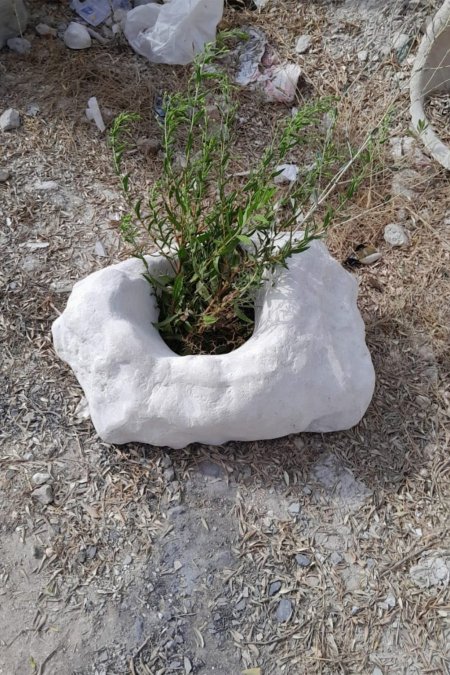 قوّارة صخرية طبيعية