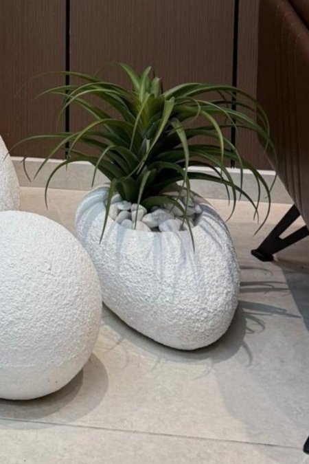 قوّارة الحجر العضوي الأبيض