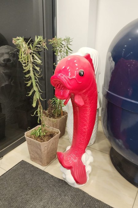 فوهة مسبح بشكل سمكة